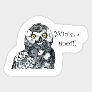 You're a hoot! Sticker